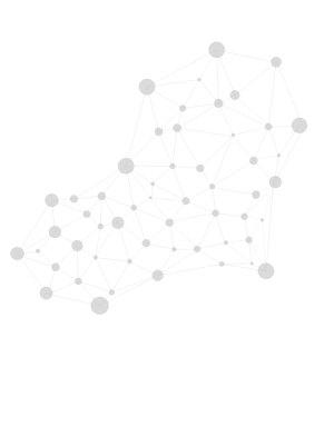 Grafik Netzwerk