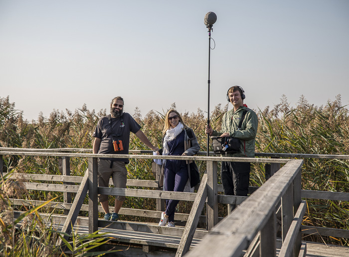 Drei Personen auf der Brücke im Schilfgürtel mit Kamera und Mikrofon