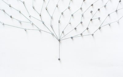 Drum prüfe, wer sich bindet: Wie du das passende Netzwerk für dich findest